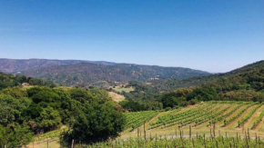 Napa Vineyard with Stunning Views By Allevo Homes